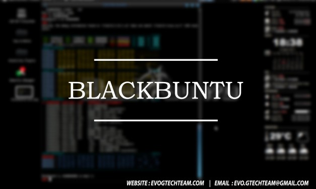 Blackbuntu下载 | 安全作业系统