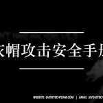 灰帽攻击安全手册下载 | 网络安全电子书