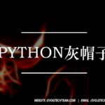 Python灰帽子下载 | 网络安全电子书